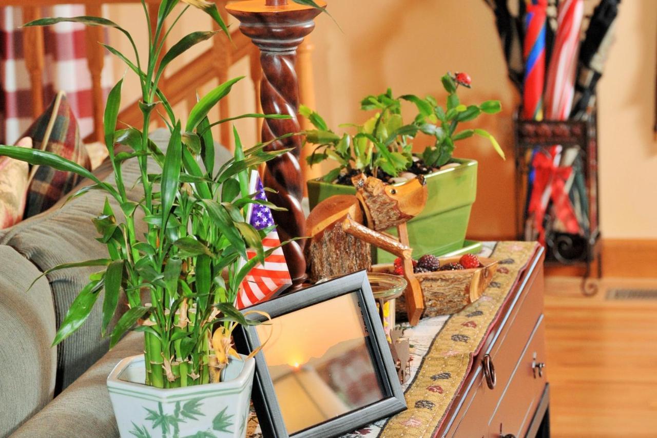 Berry Springs Lodge Sevierville Buitenkant foto